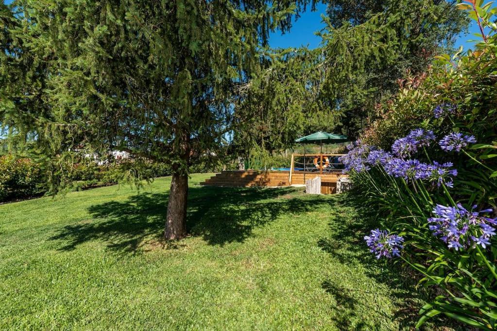 Вілла Casa De Sao Sebastiao De Covas Covas  Екстер'єр фото